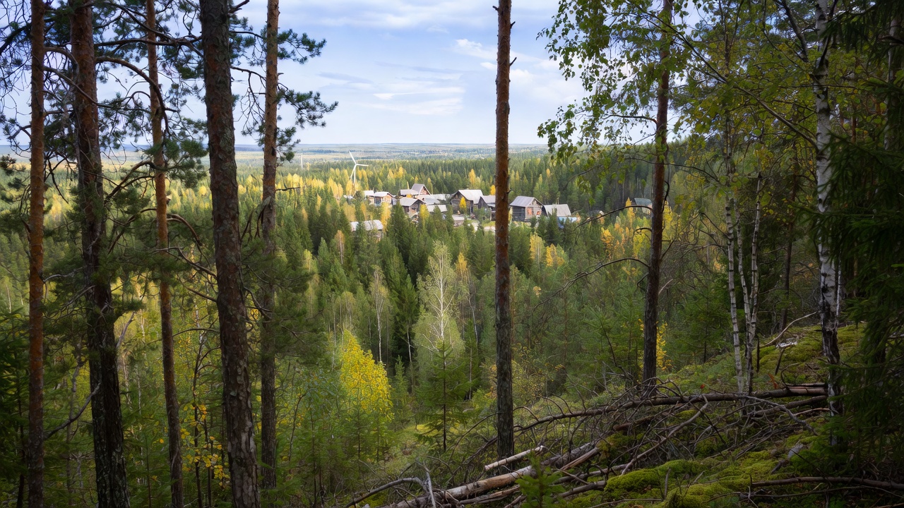 Сохранение биоразнообразия — ЭкоТолк, экологический диктант